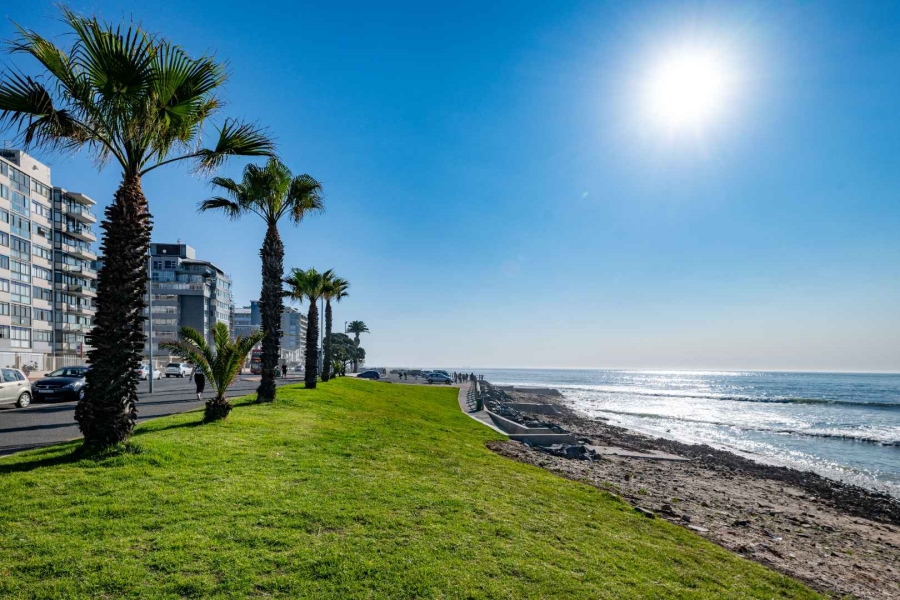 To Let 2 Bedroom Property for Rent in Mouille Point Western Cape
